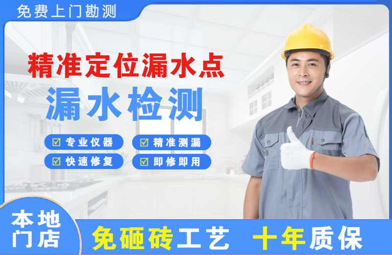 都安精准测漏点